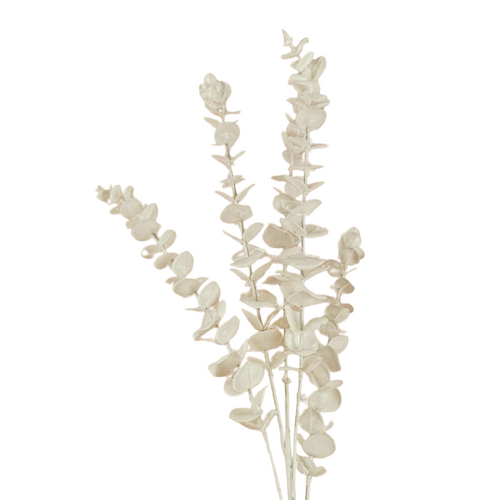 Eucalyptus Spray AL029-WH
