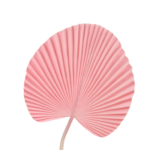 Fan Palm Leaf AL030-BLUSH