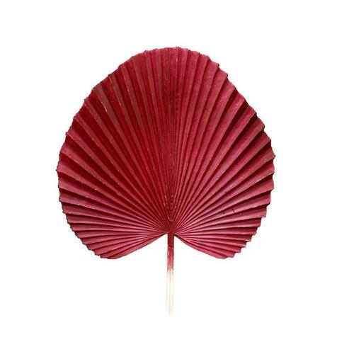 Fan Palm Leaf AL030-BUR