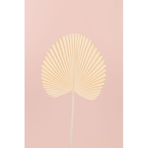 Fan Palm Leaf AL030-CR