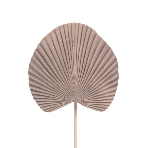 Fan Palm Leaf AL030-GREY