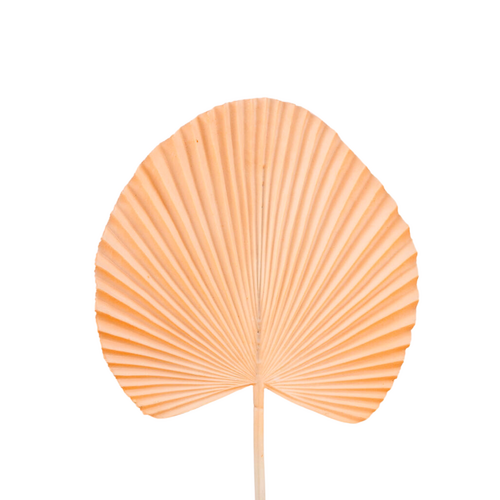 Fan Palm Leaf AL030-PEACH