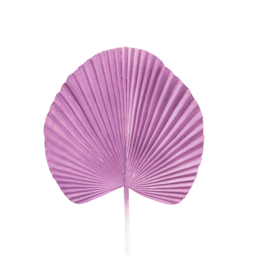 Fan Palm Leaf AL030-PUR