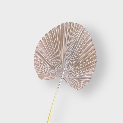 Fan Palm Leaf AL030-RGOLD