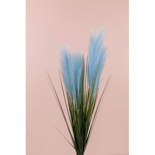Pampas Bunch x 5 stems AL031-Blue