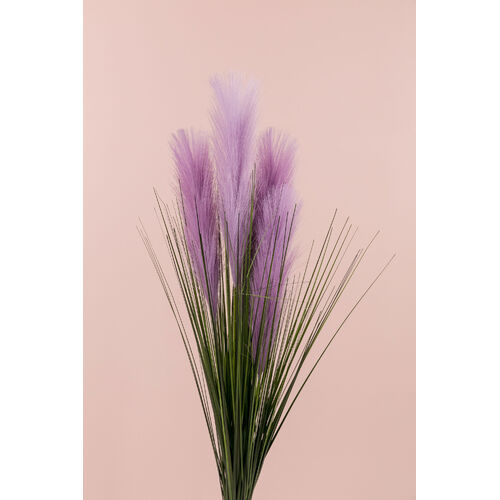 Pampas Bunch x 5 stems AL031-LIL