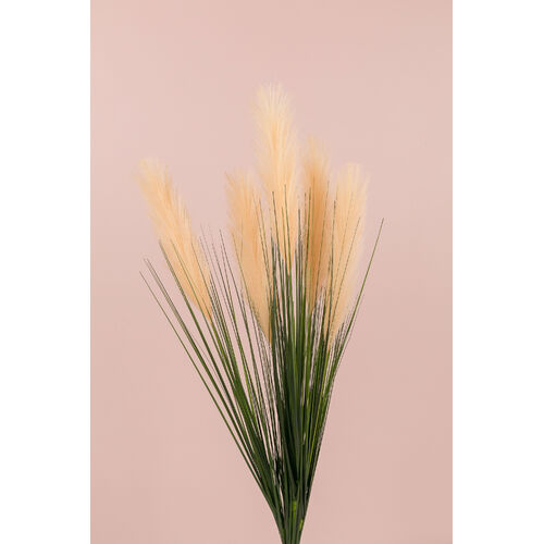 Pampas Bunch x 5 stems AL031-PCH