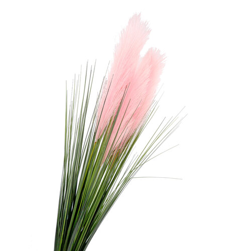 Pampas Bunch x 5 stems AL031-PNK