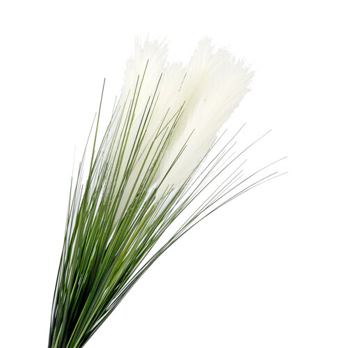 Pampas Bush x 5 stems AL031-WH