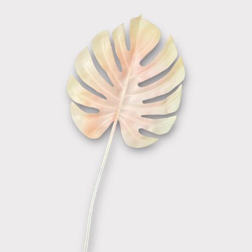Latex Monstera Al034-BLUSH