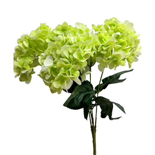 Hydrangea Bunch AL037-LG