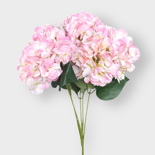Hydrangea Bunch AL037-PK
