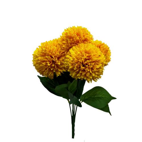 Chrysanthemum AL038-DKYEL