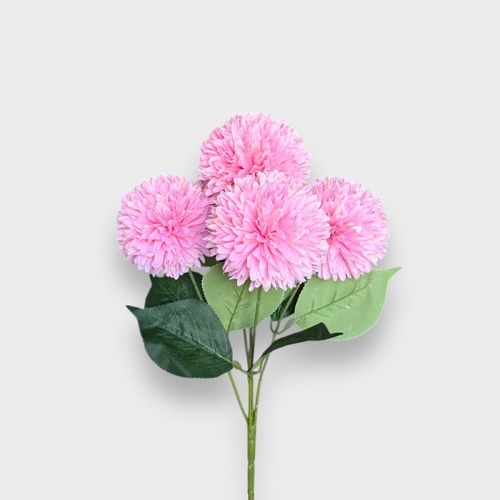 Chrysanthemum AL038-LP