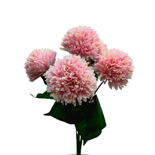 Chrysanthemum AL038-LP