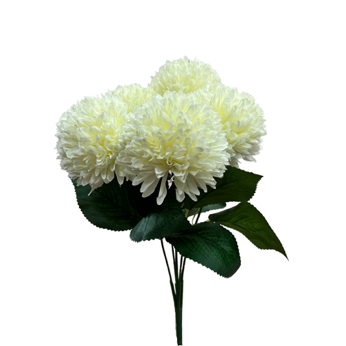 Chrysanthemum AL038-WH