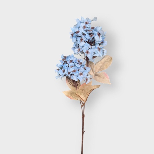 Cone Hydrangea AL040-BL