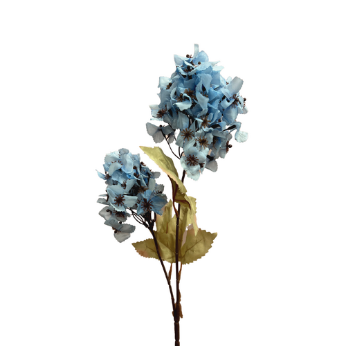 Cone Hydrangea AL040-BL