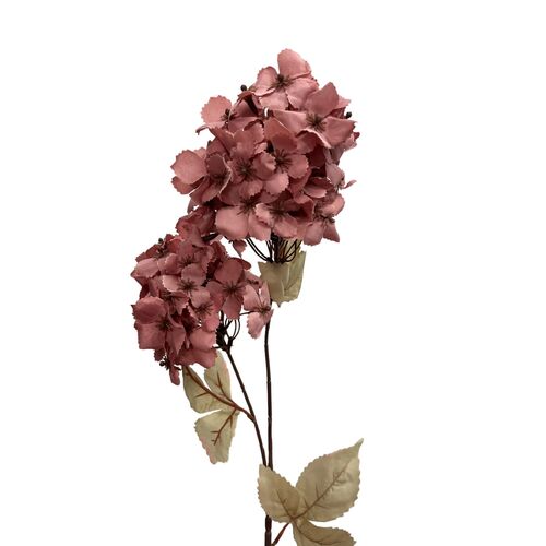 Cone Hydrangea AL040-DP