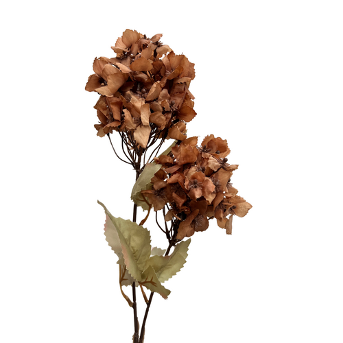 Cone Hydrangea AL040-RUS