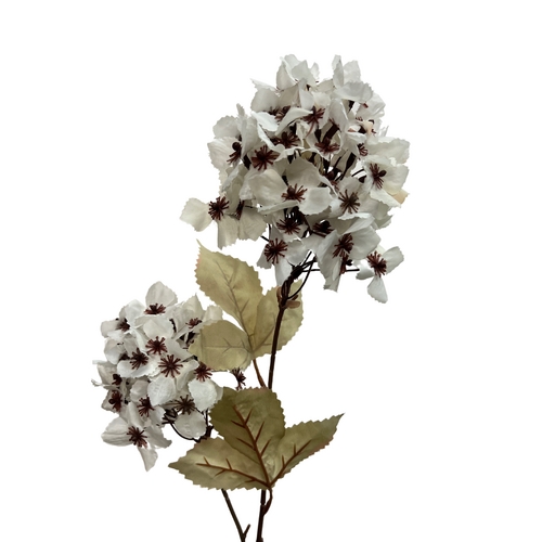 Cone Hydrangea AL040-WH