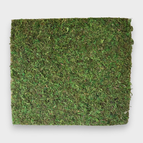 MOSS MAT AS0007GRN