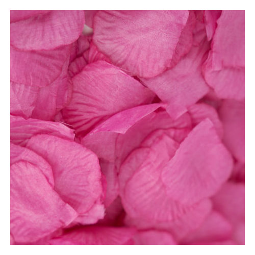 Rose petals AS21HOT
