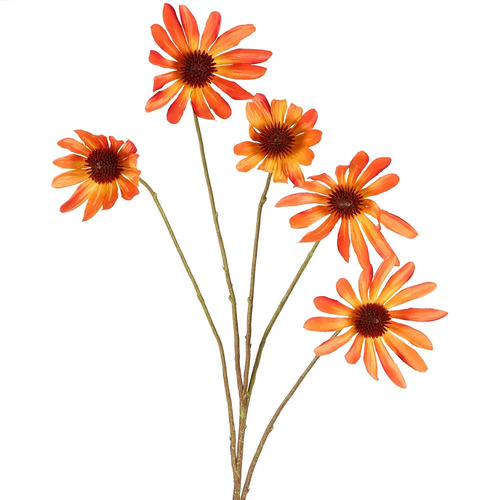 BLACK EYED SUSAN STEM 82CM ORANGE B05OR