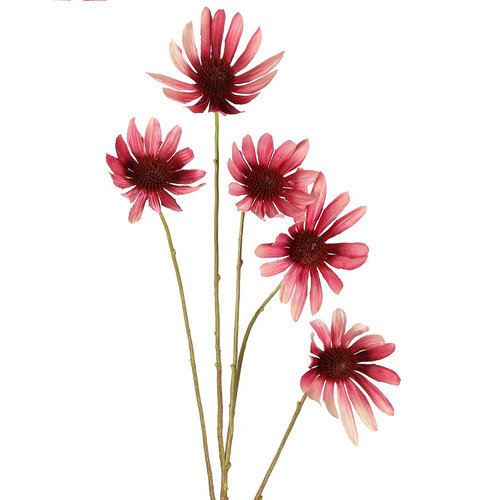 BLACK EYED SUSAN STEM 82CM pink B05PK