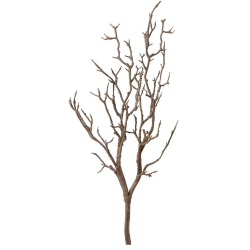 Natural Branch B149