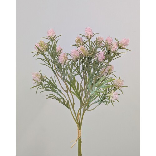 Thistle Bush B193LP