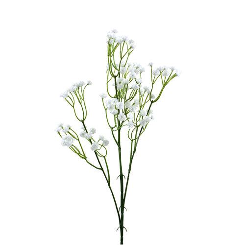 Baby's breath B4598CRM