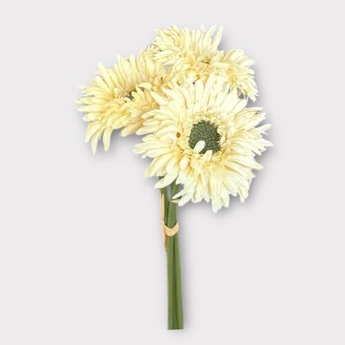 Gerbera bunch x 3 heads BF0033-CR