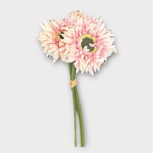 Gerbera bunch x 3 heads BF0033-DP