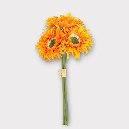 Gerbera bunch x 3 heads BF0033-TF