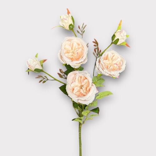 David Austin Rose Spray BF0037-CR