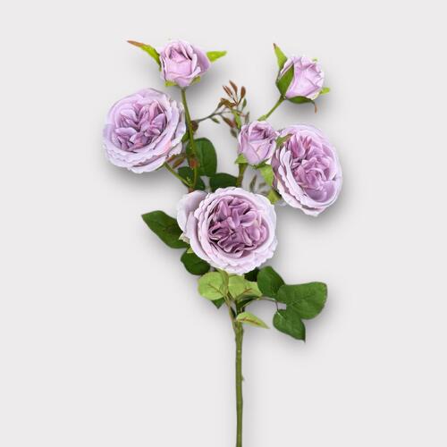 David Austin Rose Spray BF0037-LIL