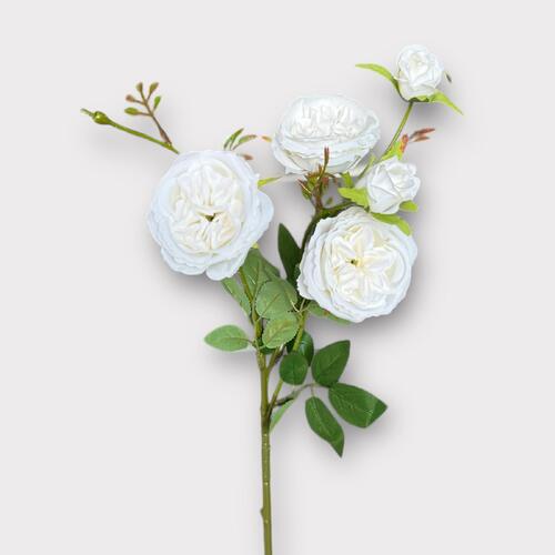 David Austin Rose Spray BF0037-WH