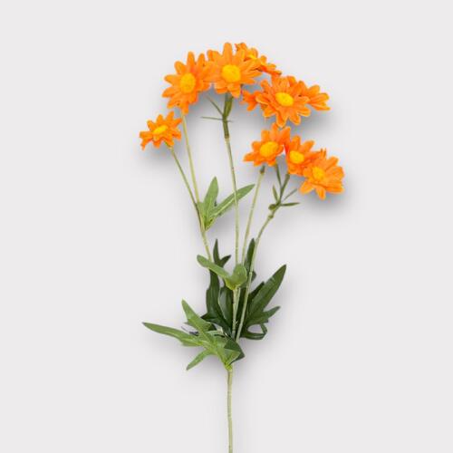 Daisy Spray BF0038-OR
