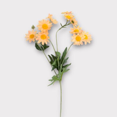 Daisy Spray BF0038-PCH