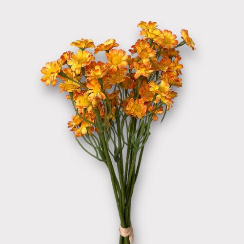 Daisy Bunch BF0039-OR