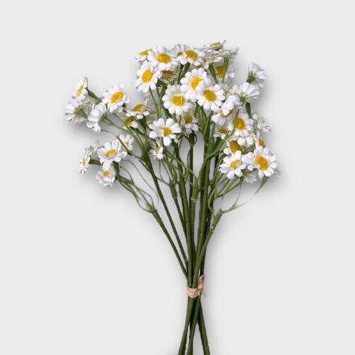 Daisy Bunch BF0039-WH