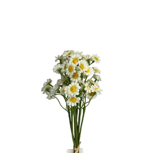 Daisy Bunch BF0039-WH
