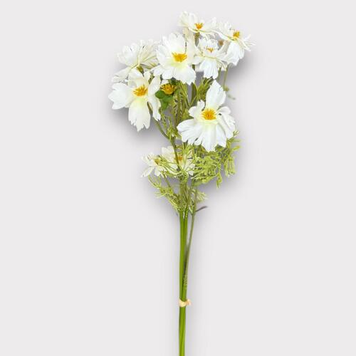 Cosmos Bunch BF0042-WH