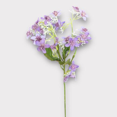 Cosmos Bunch 50cmL BF0043-LV