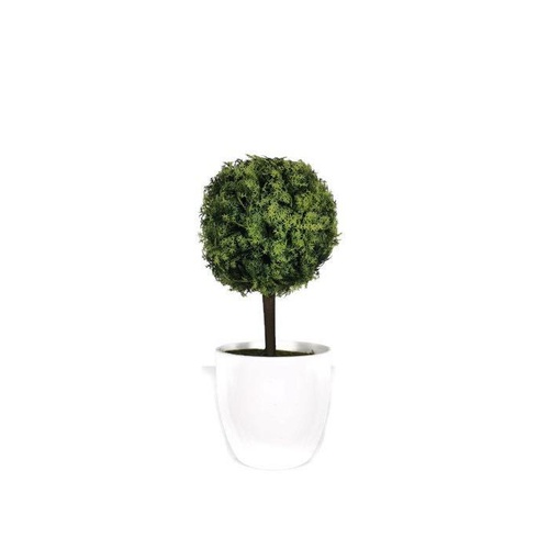Little Topiary BF010-GREEN
