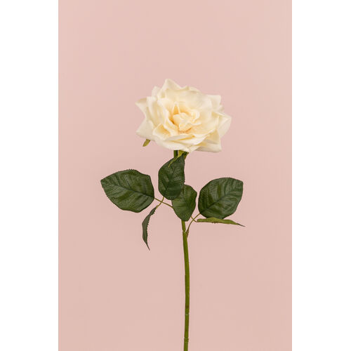 Single Rose Stem BF017-CREAM