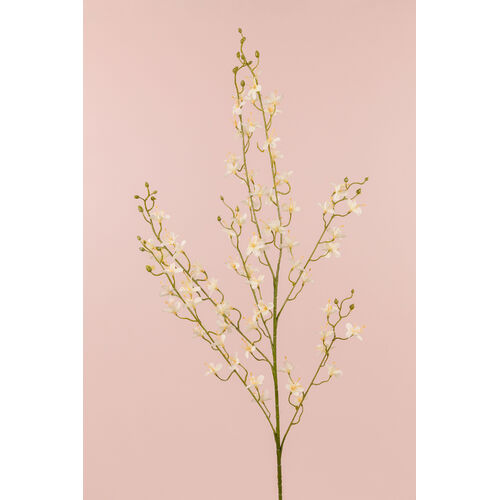 Blossom Spray BF019-WH