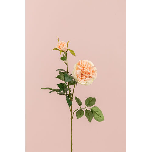 English Rose Spray BF026-PEACH