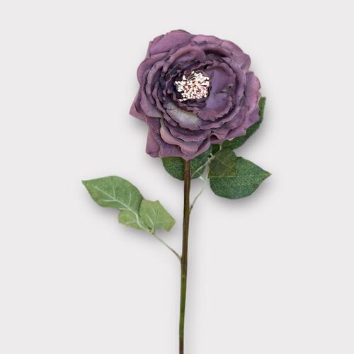 Rose Stem BF028-DPURP